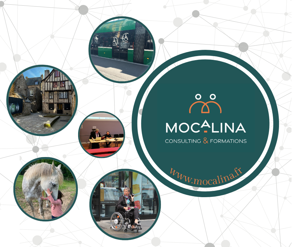 Logo de Mocalina, consulting et formations dans une bulle à droite. A gauche, différentes bulles représentes des environnements, des situations, etc. En haut à gauche, un tramway comportant une porte avec deux gros symbole du handicap. Il s'agit du symbole de la personne en fauteuil roulant. Au dessous, une rampe dans une ville classée, se fond dans le décor et passe inaperçue. Au dessous, deux personnes entrain de faire une conférence. Une d'entre elle est en fauteuil roulant, l'autre est de petite taille. Au dessous, une petite fille carresse et fait un câlin à un cheval gris. Tout en bas, une jeune femme en fauteuil roulant dans une rue, tenant un appareil photos à la main.