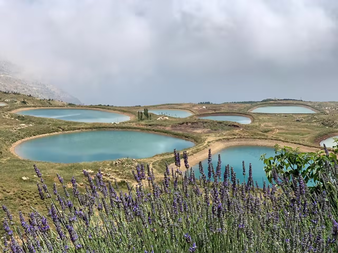 Une curiosité géologique du Liban, qui se situe non loin de Beyrouth. Ce sont des petits lacs, très proches les uns des autres, de tailles différentes dont l'eau est bleu turquoise. Elles ressemblent à de petites cavités creusées sur la roche. Lac de montagne.