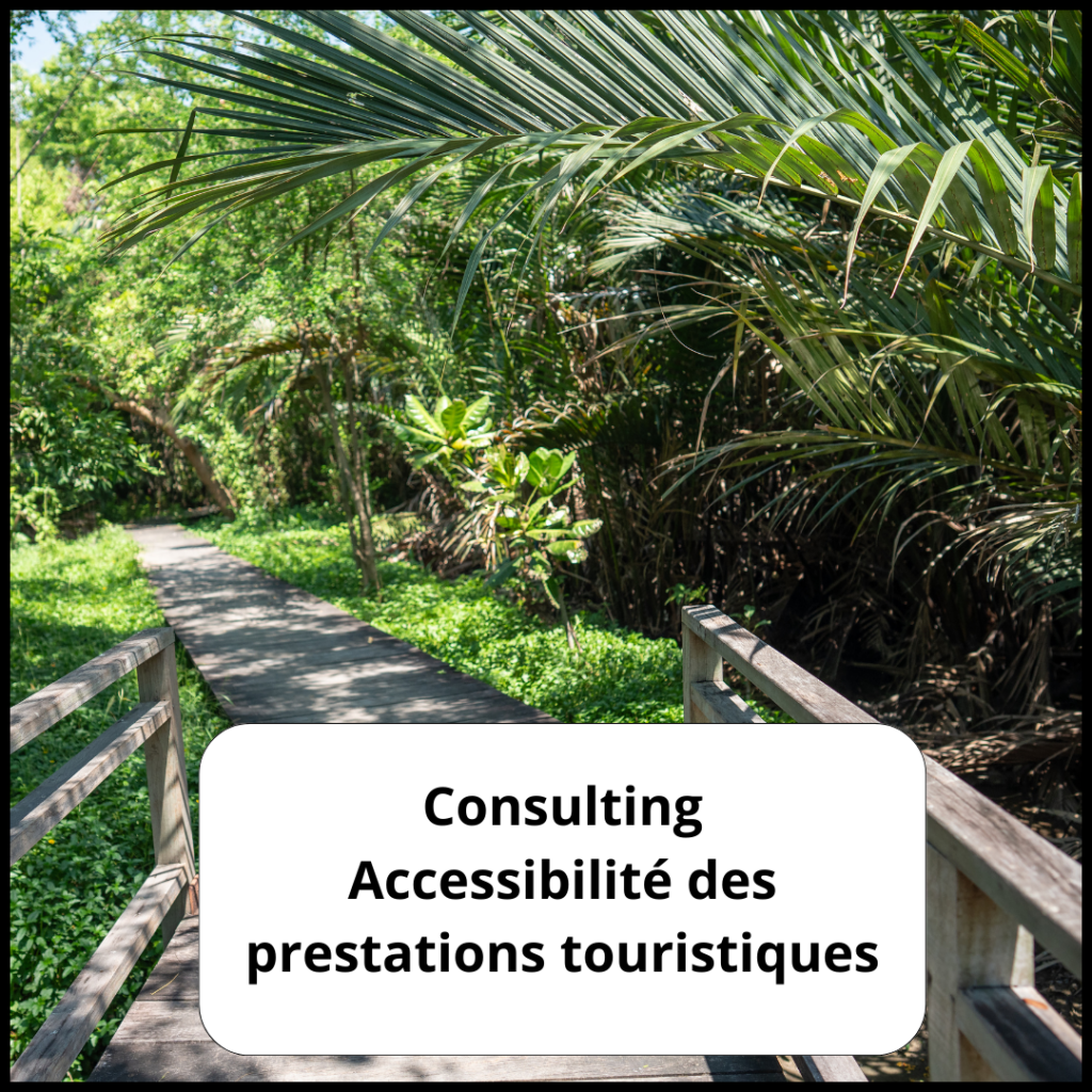 Consulting des prestations touristique. Photographie avec un pont en bois dans la nature.